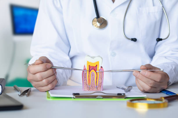 Best Weekend Emergency Dentist in Campbell, OH
